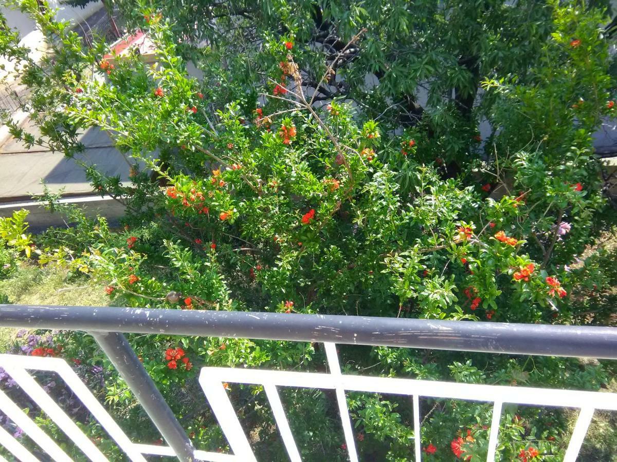 Apartment Bella Marija Senj  Εξωτερικό φωτογραφία
